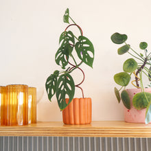 Load image into Gallery viewer, TUPPA PLANTER | Earth Collection |
